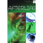 Afterlife by David A deSilva